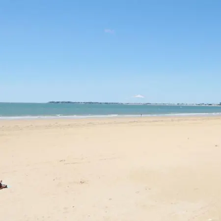 Adonis Budget פורנישי